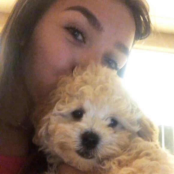 Meet your Posher, Abby - Picture 1 of 1